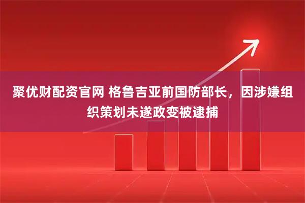 聚优财配资官网 格鲁吉亚前国防部长，因涉嫌组织策划未遂政变被逮捕